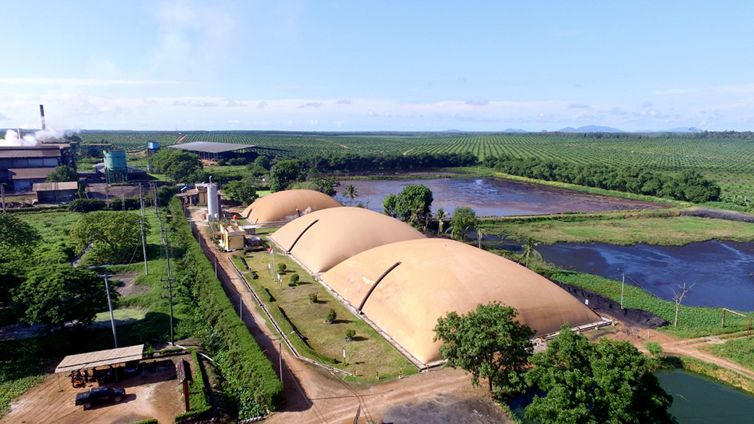 Membangun Pembangkit Listrik Tenaga Biogas Dari Limbah Kelapa Sawit